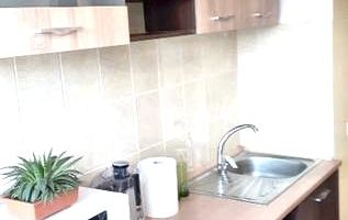 🌳 Închiriez Apartament cu 2 camere, Câmpia Libertății, renovat, aproape - Poză 6