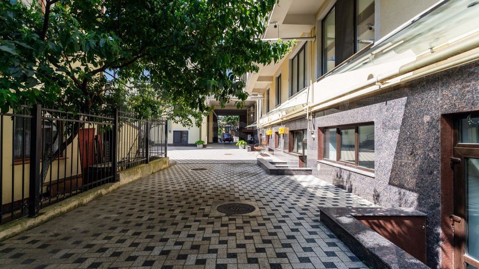 Vânzare, apartament, 2 camere, str.  Alexei Şciusev,  Centru - Poză 9