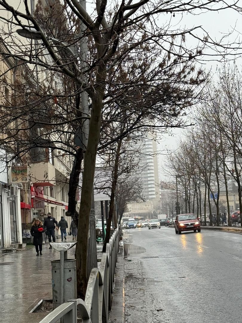 Spatiu comercial I Piata Unirii IC Bratianu I Stradal - Poză 2