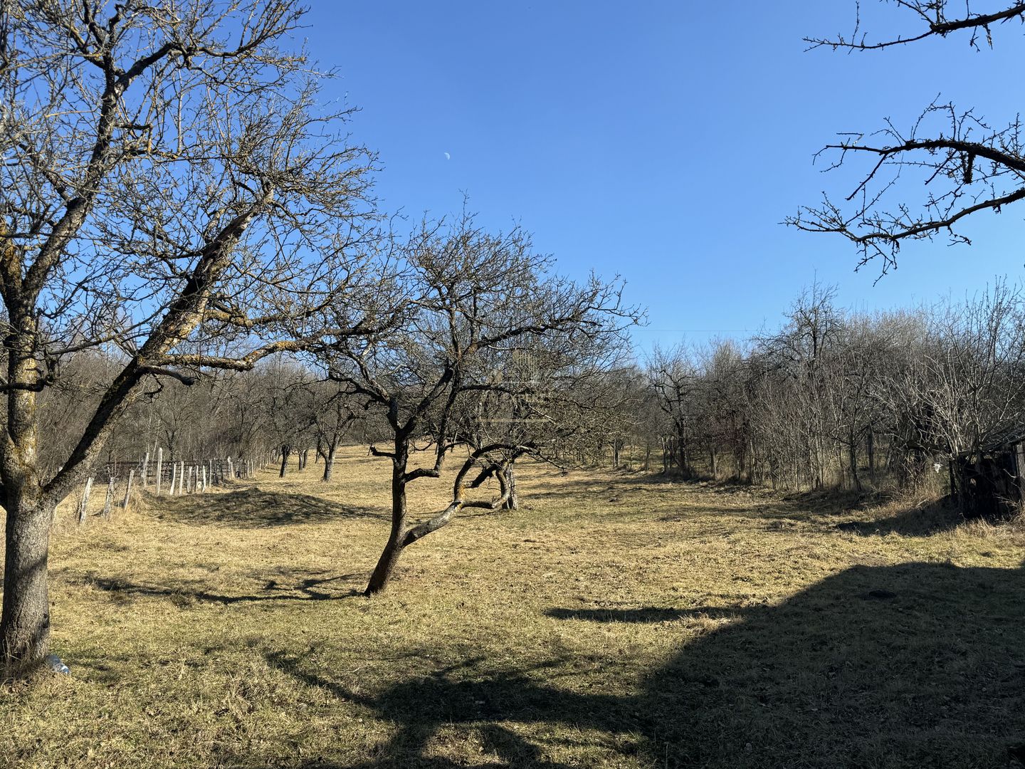 TEREN INTRAVILAN 3400 MP, VOINESTI, LERESTI - Poză 3