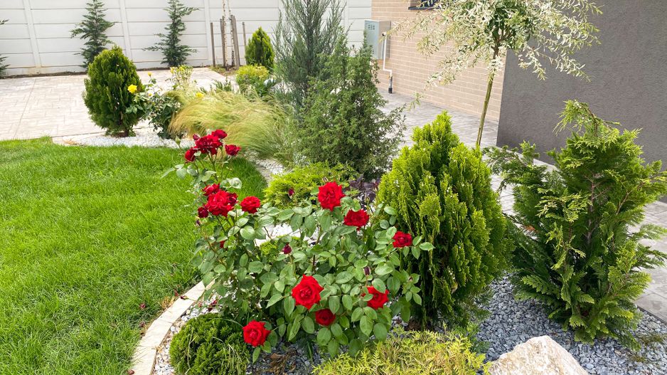 Vila individuala cu 4 dormitoare și 4 bai  |  Poluare 0  |  În NATURA - Poză 9