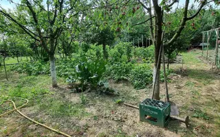 Casa Individuala 4 Camere 1153 mp Teren, Sard, com. Ighiu - Poză 18