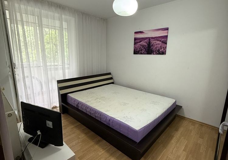 2 camere Piata Minis, etaj 2, pet friendly, pret negociabil - Poză 2
