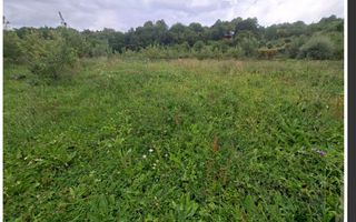 TEREN 20.621 MP CAMPULUNG - Poză 6