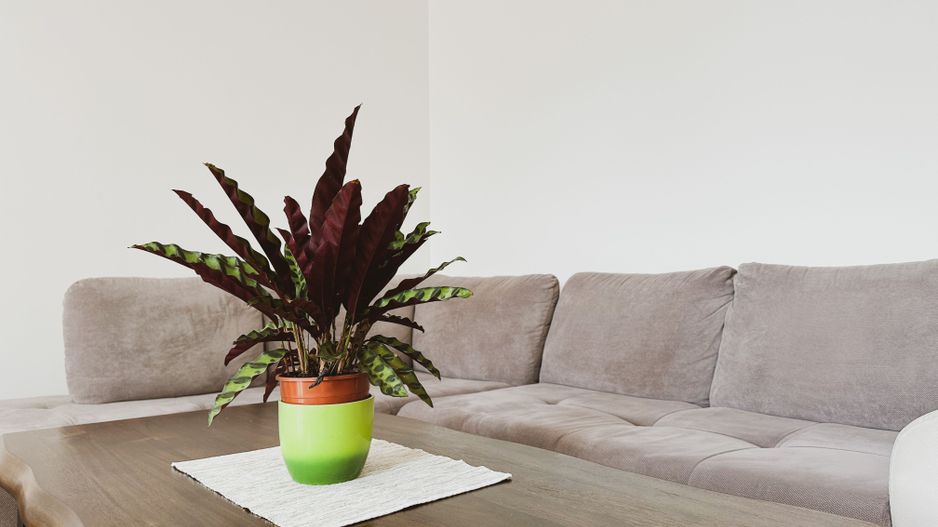 Dumbravita - Casa 5 camere, 179 mp | Mobilat & Utiliat | Garaj - Poză 24