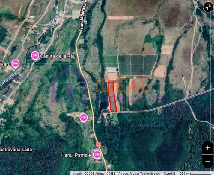 Teren extravilan 6.500 mp – două căi de acces, Cârțișoara - Poză 7