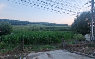 Teren intravilan 36 ari | Viile Teci | Strada Principală - Poză 2
