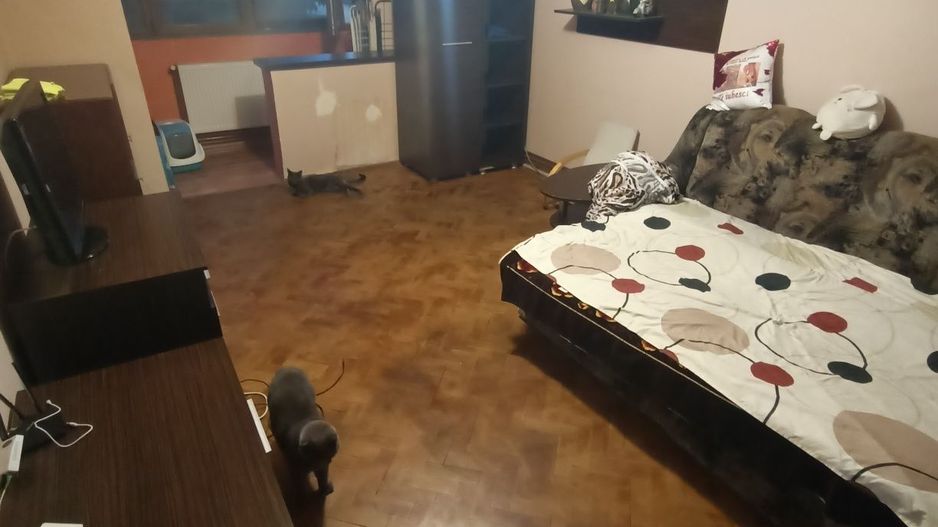 Dambovita | 4 Camere | Decomandat |  Etaj Intermediar. - Poză 2