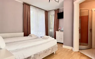 VILĂ EXCLUSIVĂ / 7 CAMERE / BRAN-PREDELUȚ / 5 LOCURI PARCARE - Poză 30