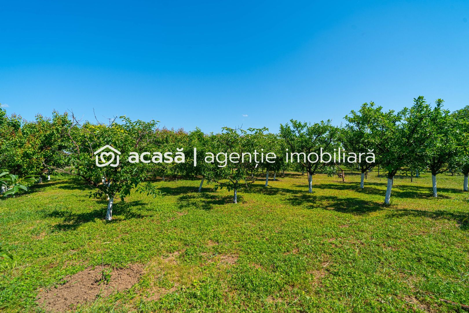 Casă spațioasă cu teren generos în Felnac – la 18 km de Arad - Poză 8