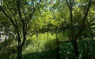 Teren Intravilan, Manastur - Poză 1