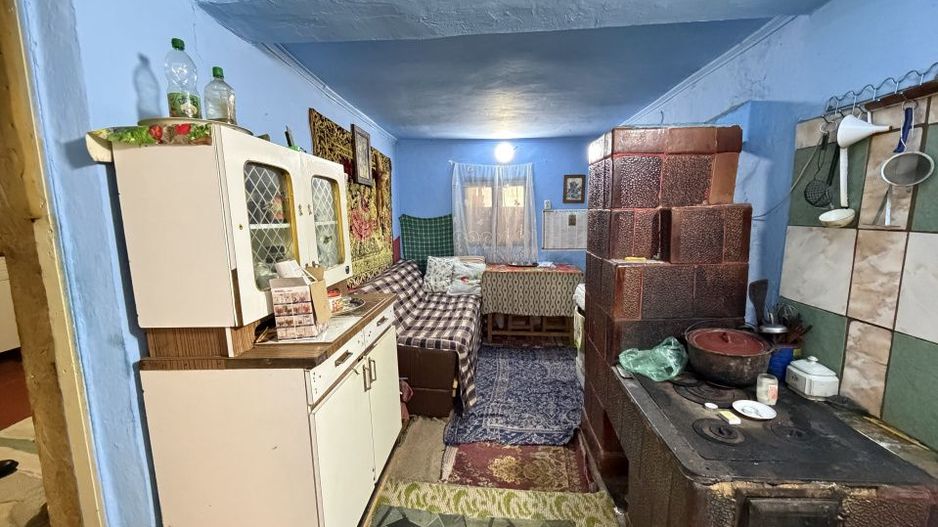 Casa Batraneasca la 8 km de Topoloveni - Poză 8