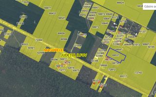 Vand teren cu suprafata de 26.000mp intravilan in Cornetu - Magurele - Poză 8