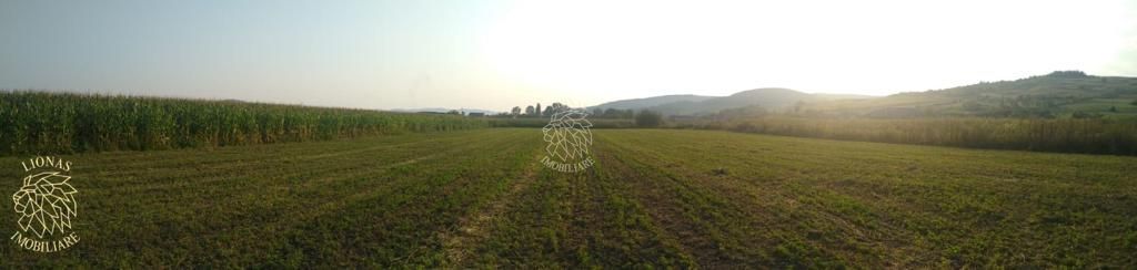 Teren 5500 mp-oportunitate investitie-pretabil cabana-Jelna - Poză 2