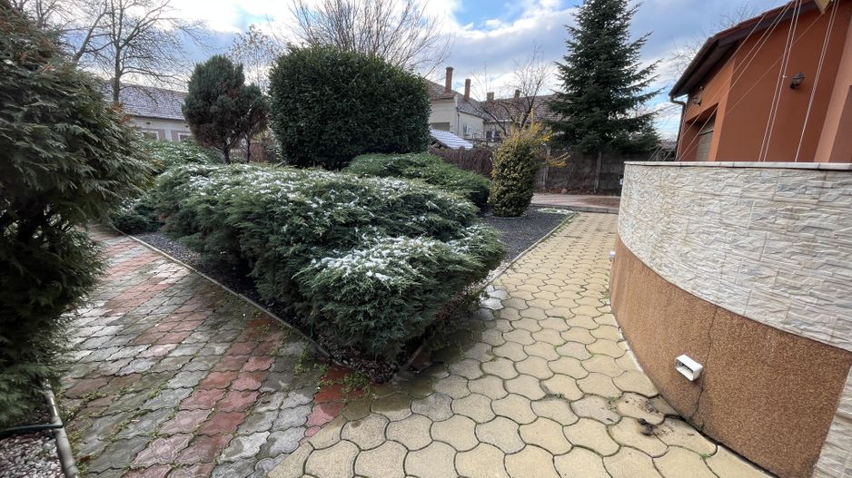 Casă individuală de vânzare în zona Blascovici-Bogdanestilor - Poză 20