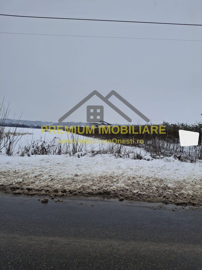 Teren de vânzare – Zona Andrășești – 16.000 mp - Poză 4