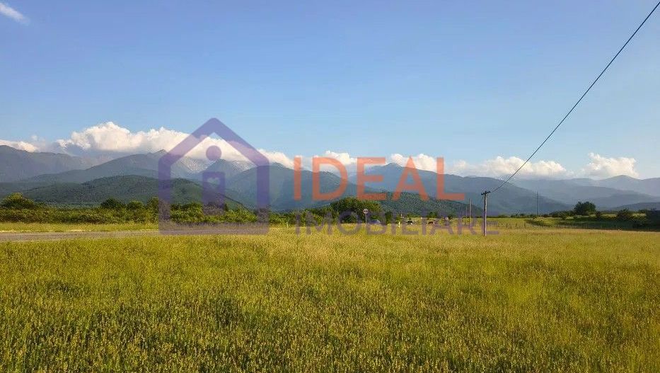 Teren extravilan de vânzare | Cârțișoara | 1800 mp - Poză 5