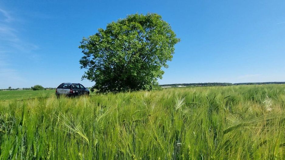 Ferma de Cultura Mare 1100 HA - Poză 9