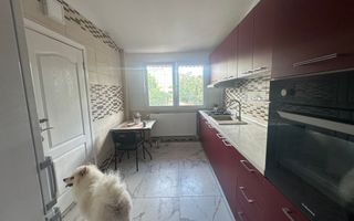 Vilă cu piscină și teren 563 mp, Dristor - Poză 6