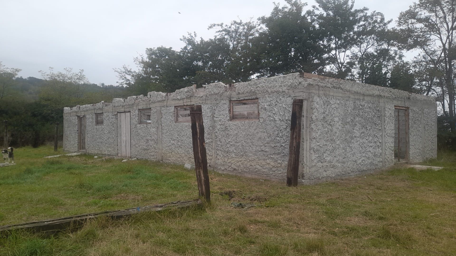 TEREN EXTRAVILAN 7.600 mp, VASLUI - zona REDIU; - Poză 4