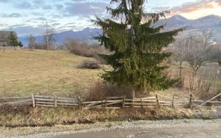 Casa 220 mp-teren 4000 mp-ideal Pensiune-garaj-Bistrita Bargaului - Poză 7