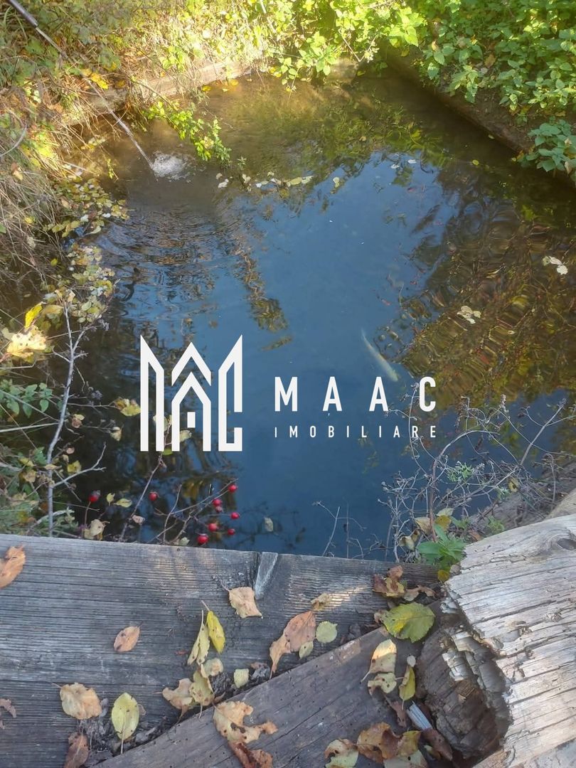 Super ofertă 35000 teren in Muntii Apuseni - Poză 5