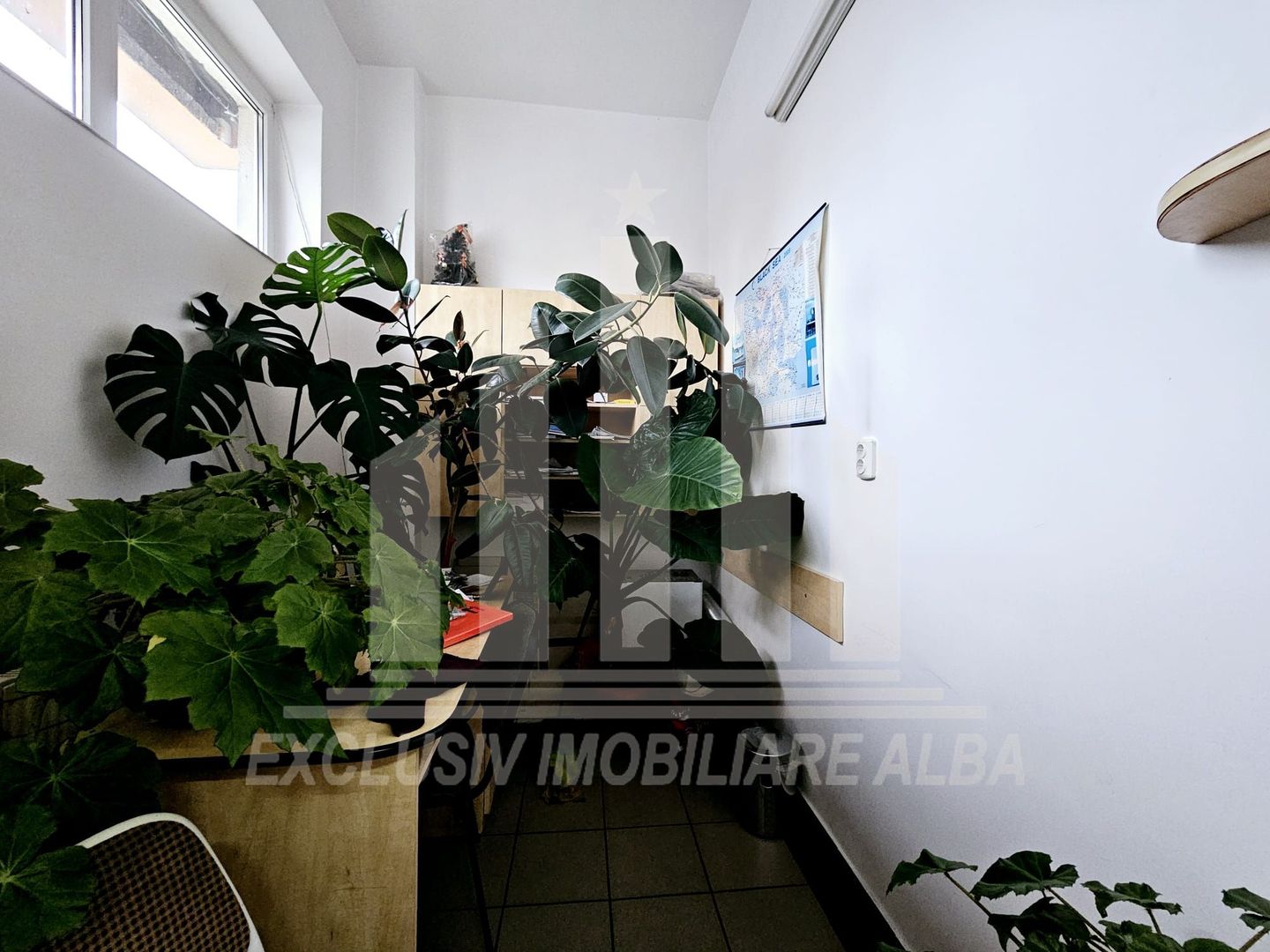 Spatiu comercial de inchiriat, Cetate - zona Stadion - Poză 5