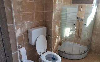 Vanzare vila Pitesti, Intrarea Nicolae Balcescu - Poză 5