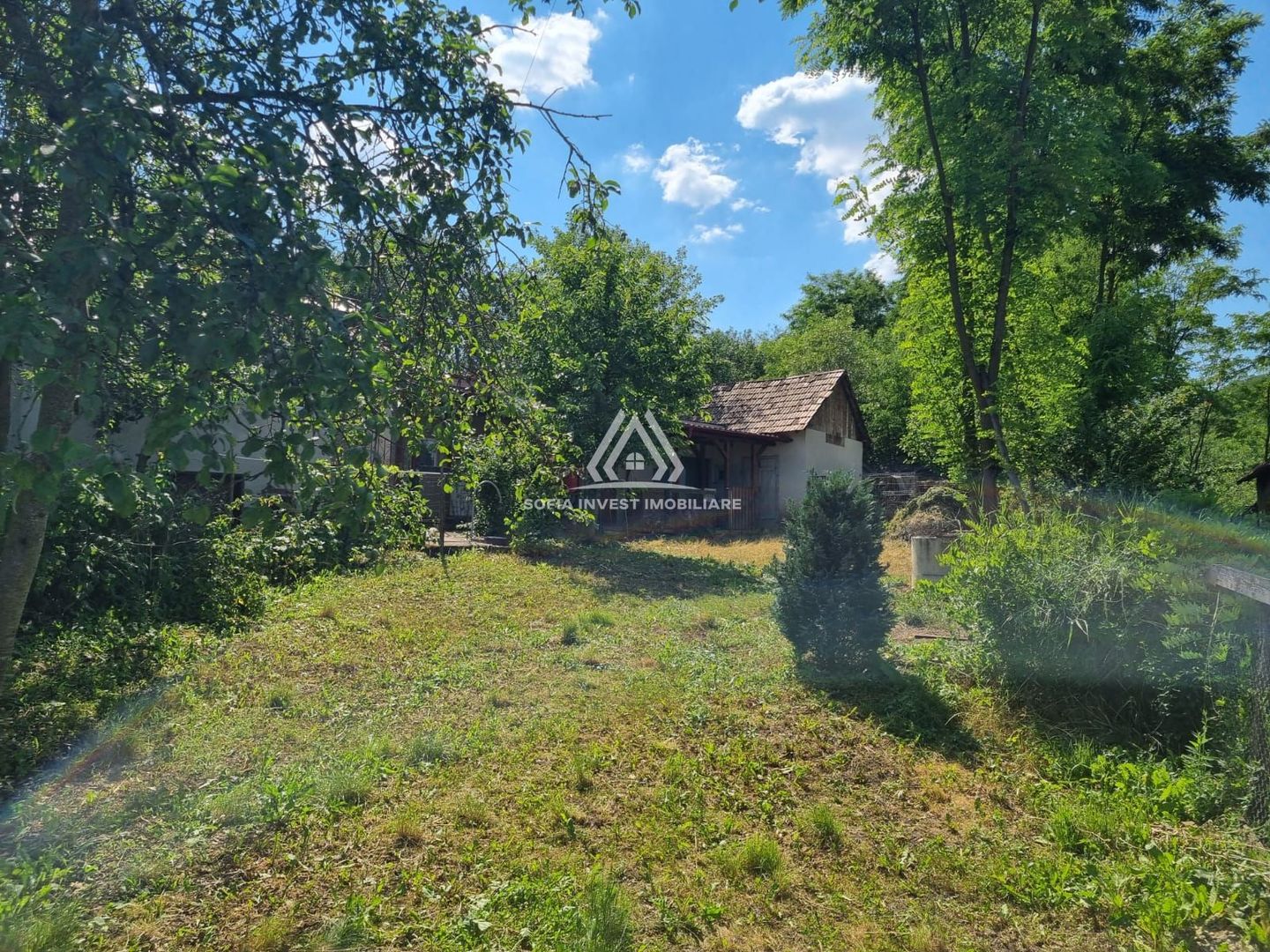 CASĂ LA ȚARĂ, SÂMBOLENI, COMUNA CAMARAȘU - Poză 10