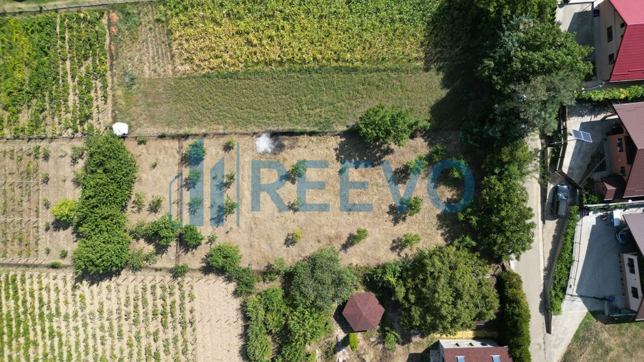 Teren de 1.000 mp în Barați ,Bacău - Poză 5