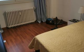Apartament 2 camere, cat friendly, balcon, etaj 1, Basarabiei - Poză 3