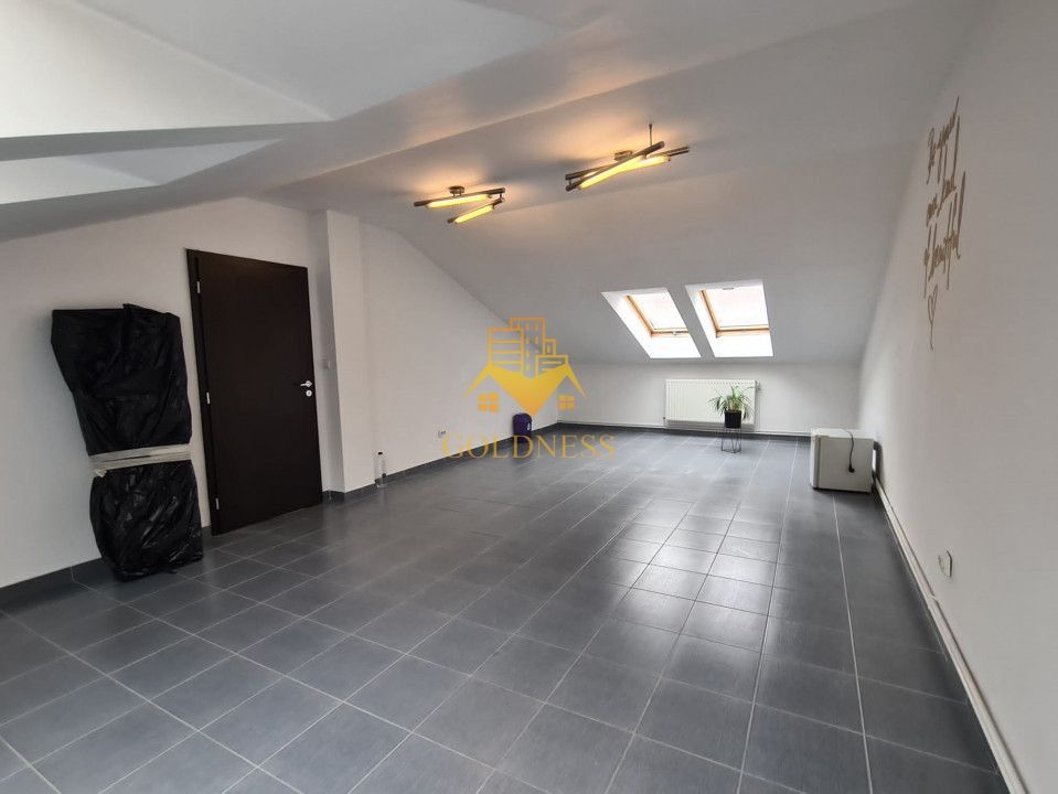Spatiu de birou, depozitare, zona Centrala, Platinia, Motilor - Poză 1