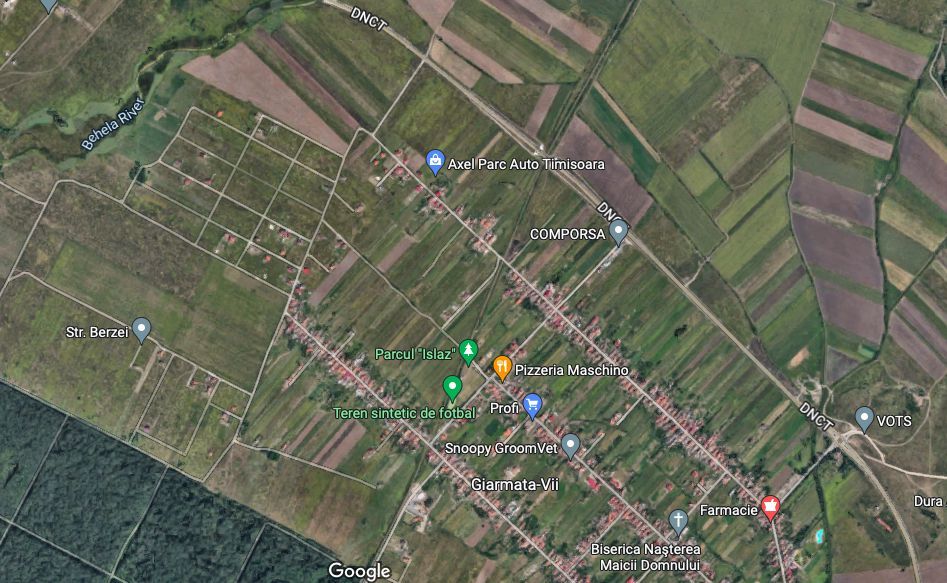 Teren Dumbravita - Poză 2