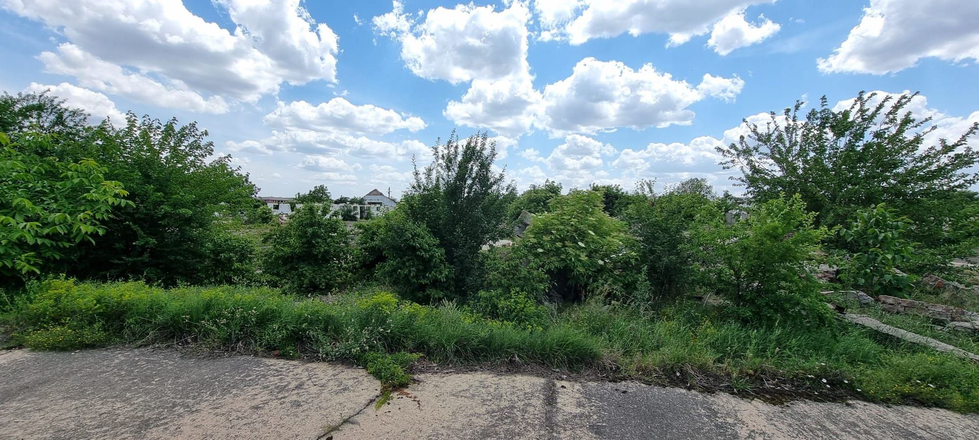 8 ha Otopeni - Poză 2