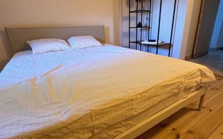 R1  | Studio  | Parcul Cismigiu - Poză 4