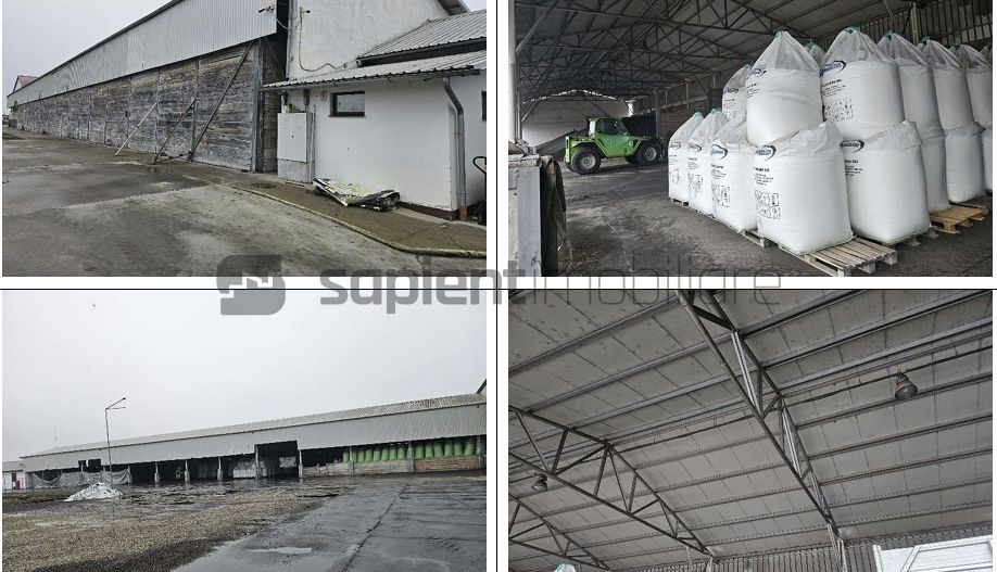 Proprietate industrială  Platformă logistică de vânzare în Tinca - Poză 6