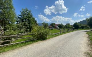 Teren 3779 mp Bran Predelut - Poză 6