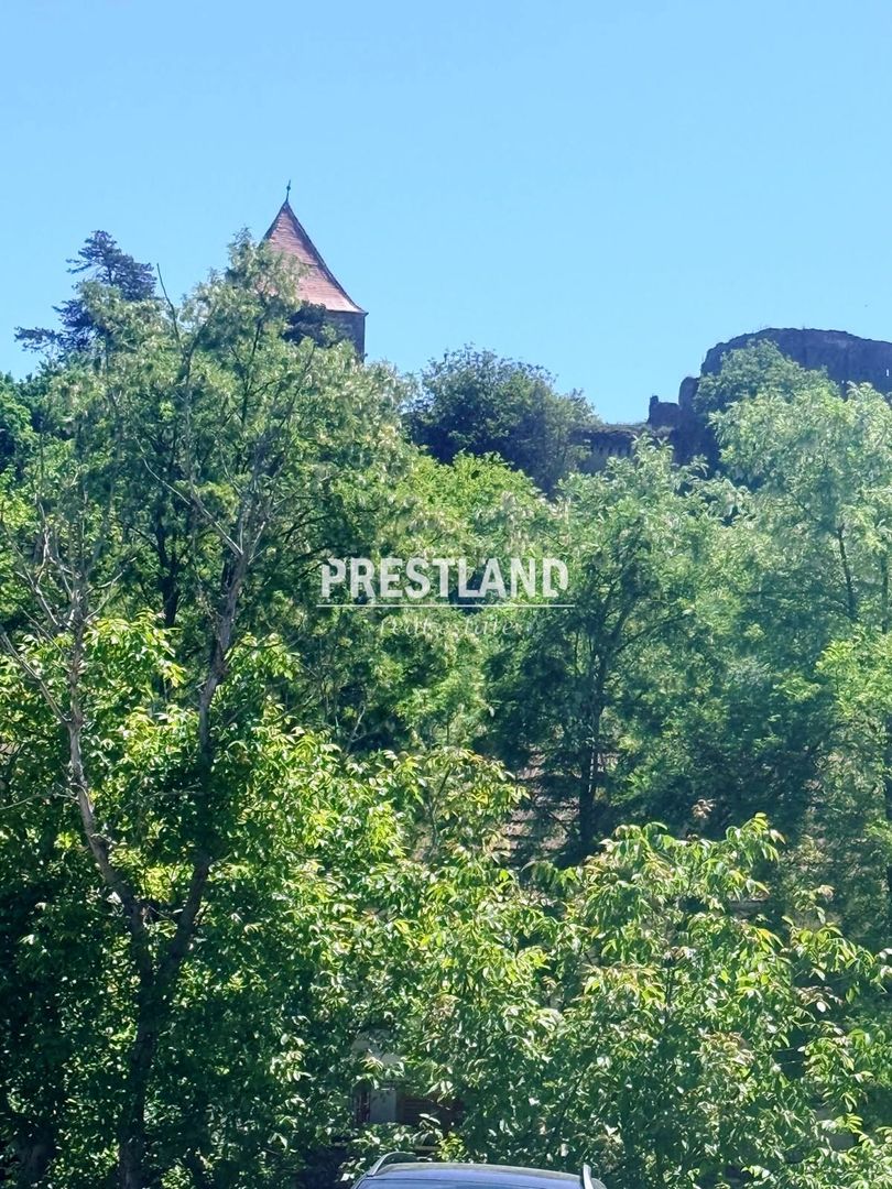 Casa modesta ,situată in Slimnic - Poză 6