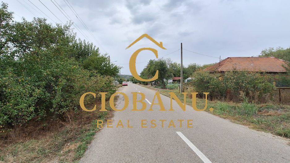 Teren Intravilan/Extravilan de vanzare in Bradestii Batrani - Poză 8