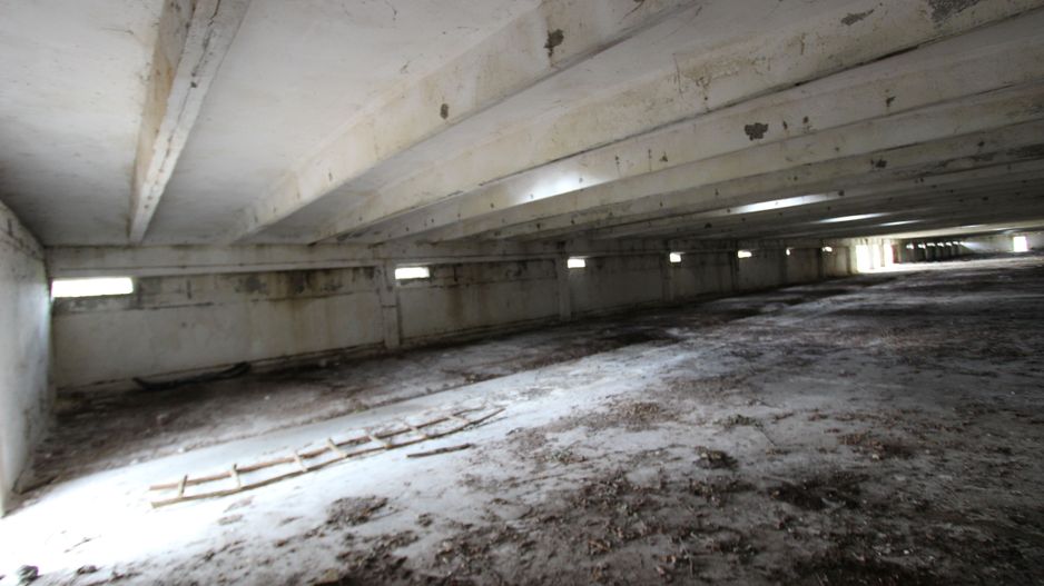 Vanzare hale Mosnita Noua-fosta Ferma 7 - Poză 19