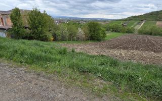 Teren de vanzare in Sibiu - Poză 3