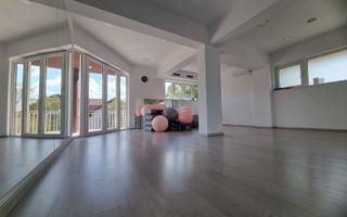 INCHIRIERE -2 VILE -ZONA MOGOSOAIA - Poză 22