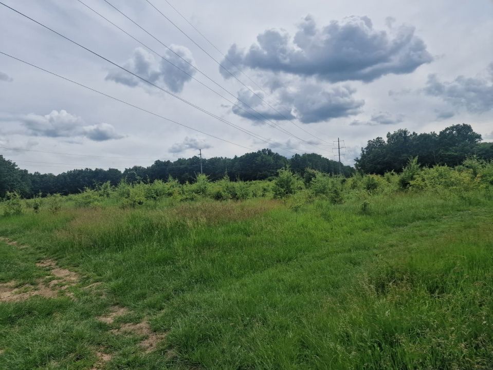 Teren extravilan Pitesti - str. Balotesi!! - Poză 7