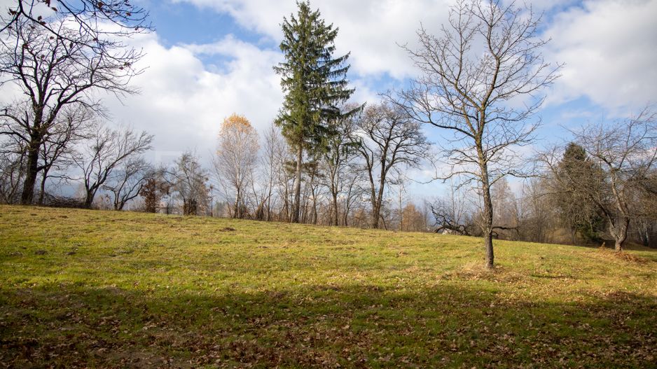 Teren intravilan, cu PUZ, Bran Tohanita,  SE ACCEPTĂ ȘI SCHIMB - Poză 19