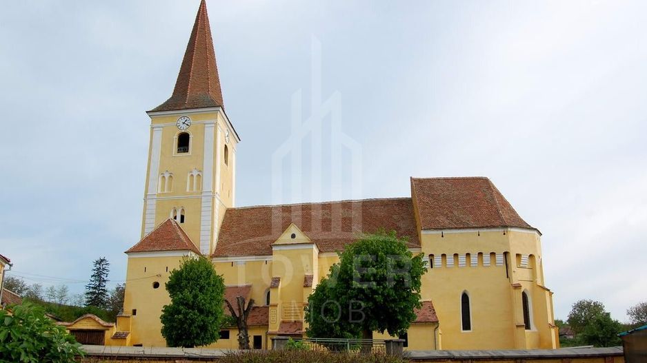 Teren de vanzare - 1000 mp - Sura Mare - Poză 3