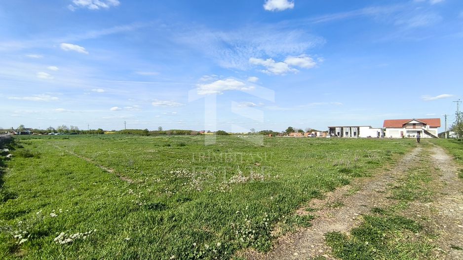 Casa cu 4 camere cu teren de 14,340 mp + platforma de beton cu hala - Poză 4
