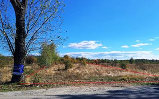 TEREN INTRAVILAN ȘI EXTRAVILAN BAIA DE FIER - Poză 1