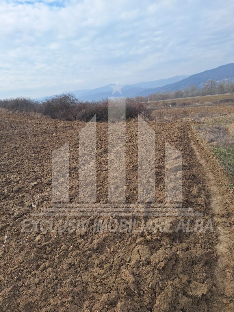 Teren agricol de vanzare, Salistea - Poză 3