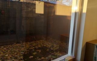 Apartament 2 camere,parter,curte,mobilat/utilat Prelungirea Ferentari - Poză 7