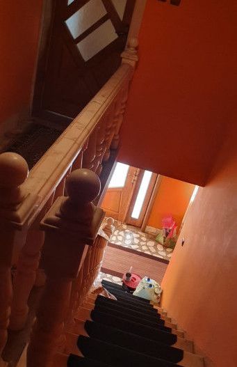 Casă / Pensiune de vânzare – Balta, Gorj  - Poză 28